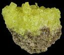 Sulfur Crystals on Matrix - Bolivia #51570-1